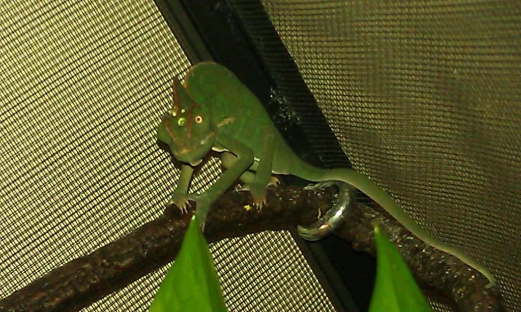 a32b3345.jpg