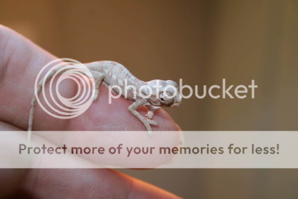 eospics9-19-09009.jpg