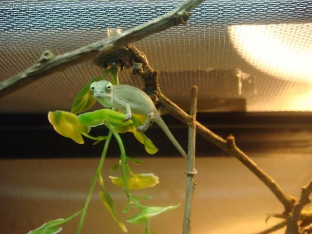 DSC03723.jpg