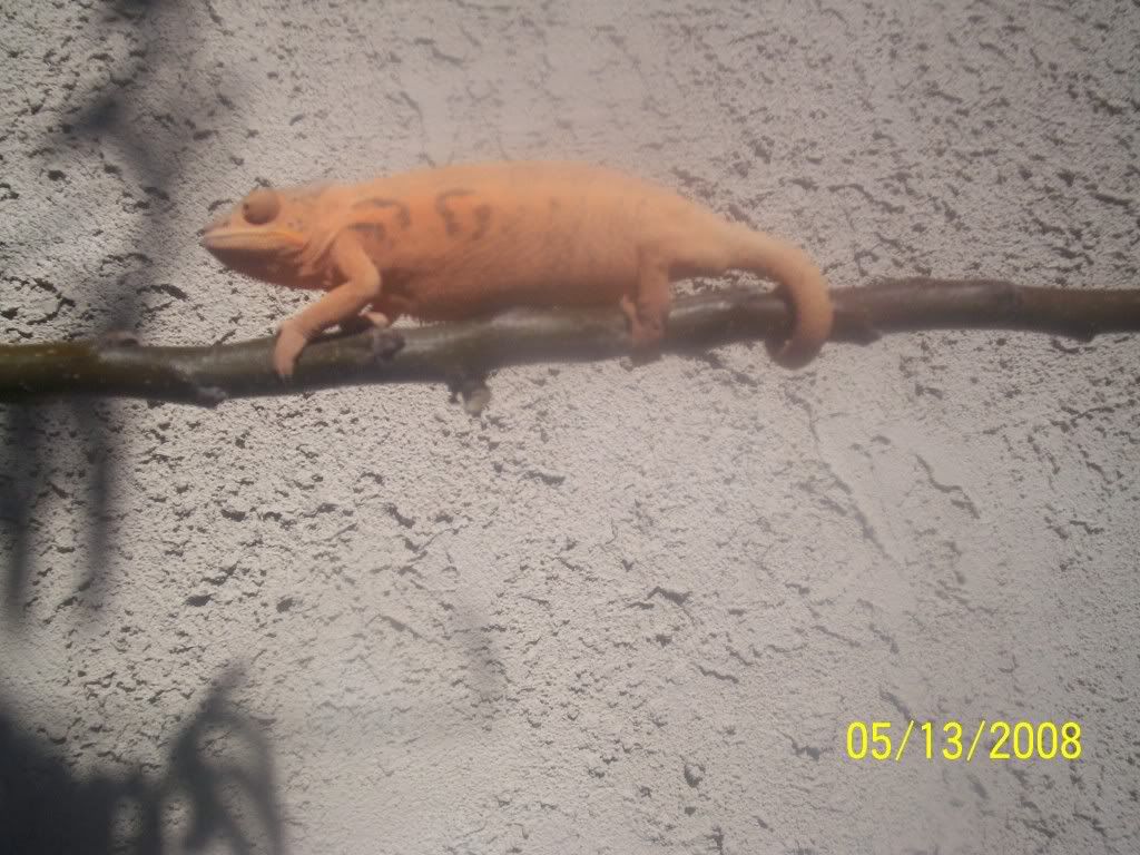 100_2318.jpg