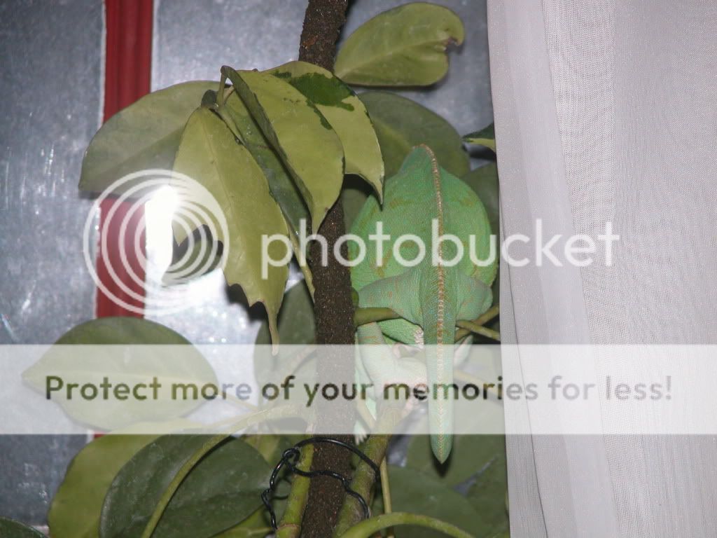 DSCN9781.jpg
