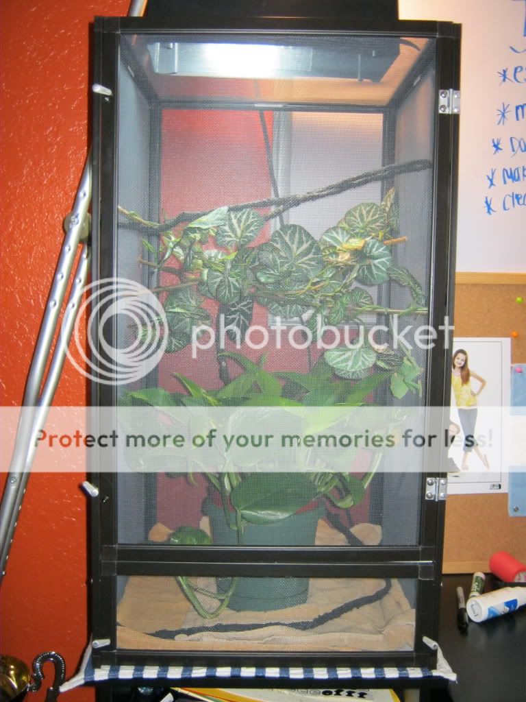 IMG_0170.jpg