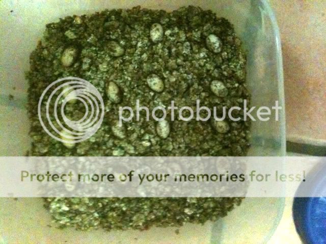 photo1-6.jpg