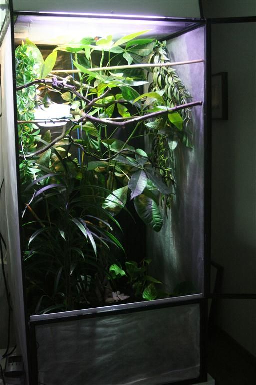 002Medium-7.jpg