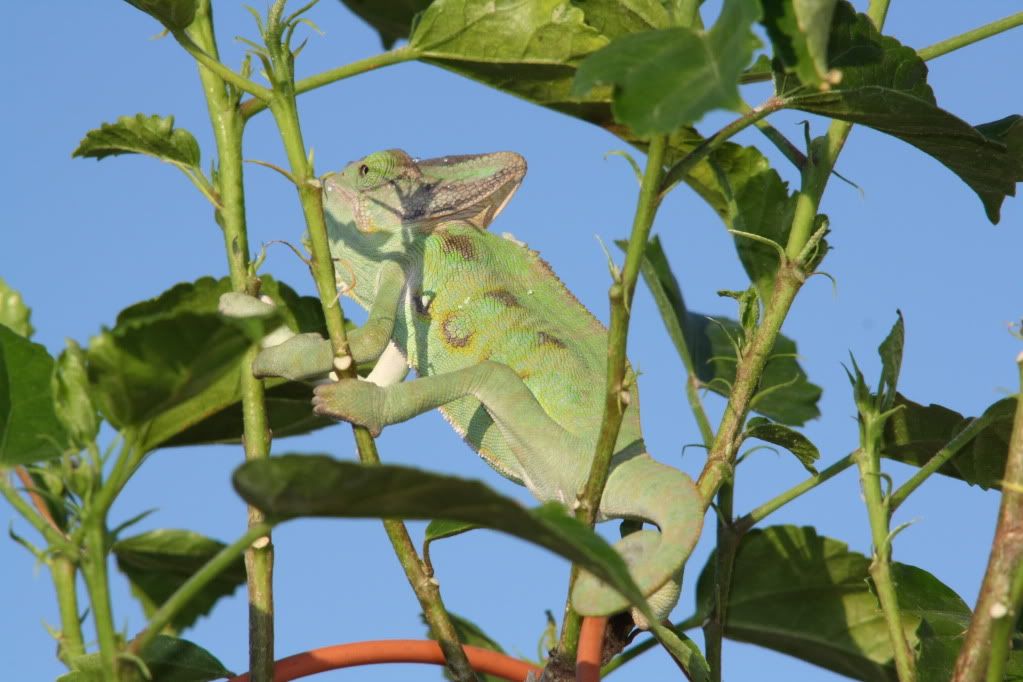 20110804_11.jpg