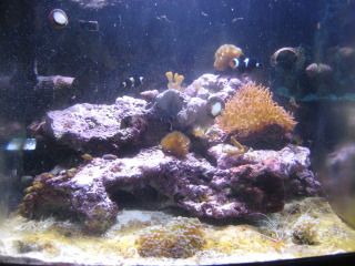 006-4.jpg