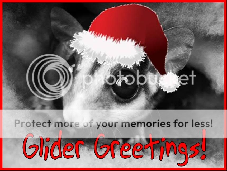 GliderGreetings.jpg