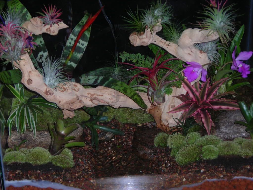 DSCN5618.jpg
