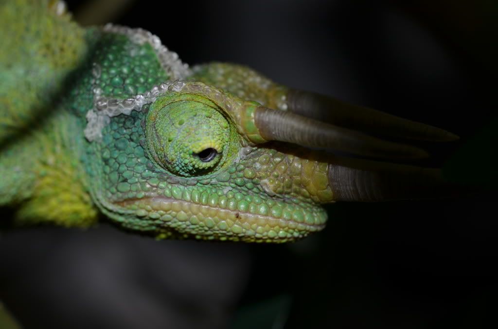 DSC_0322.jpg