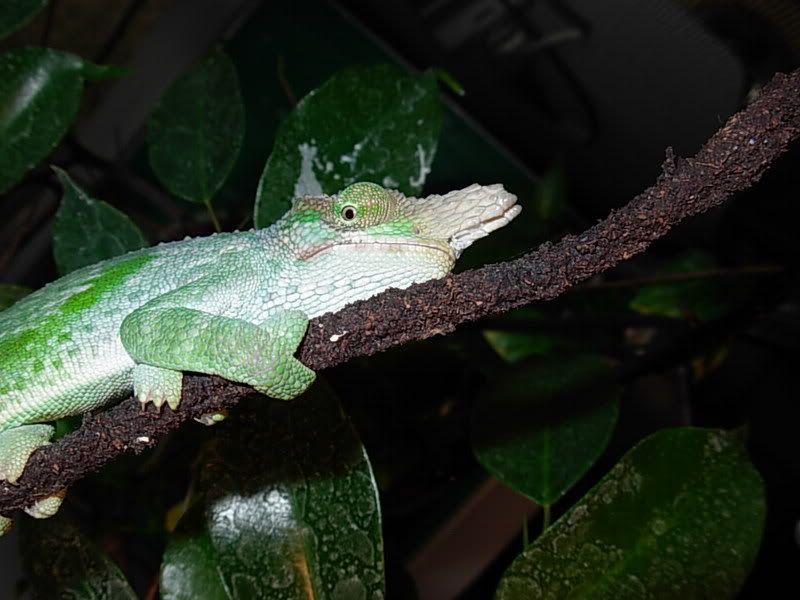 DSCN1310.jpg