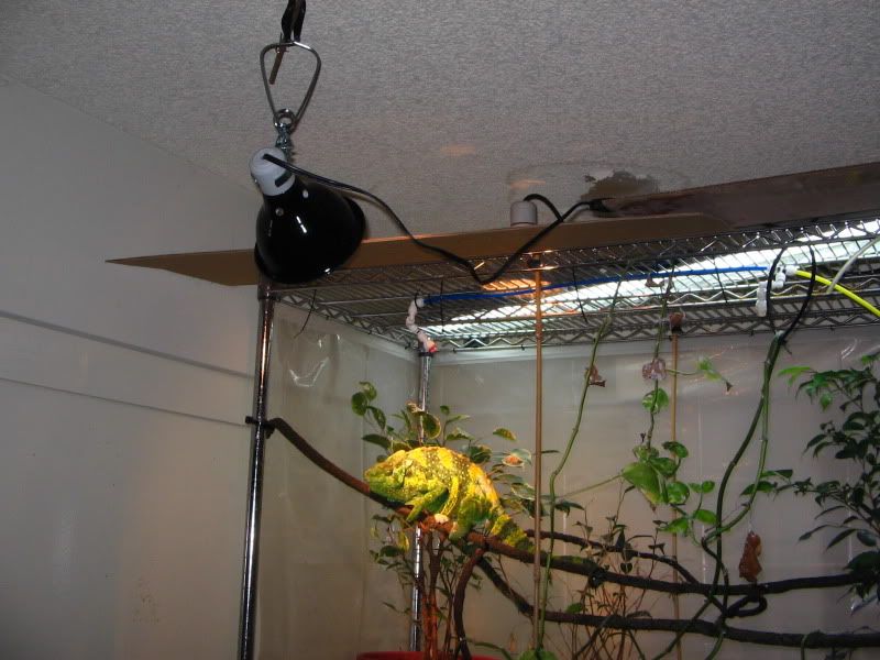 IMG_1217.jpg