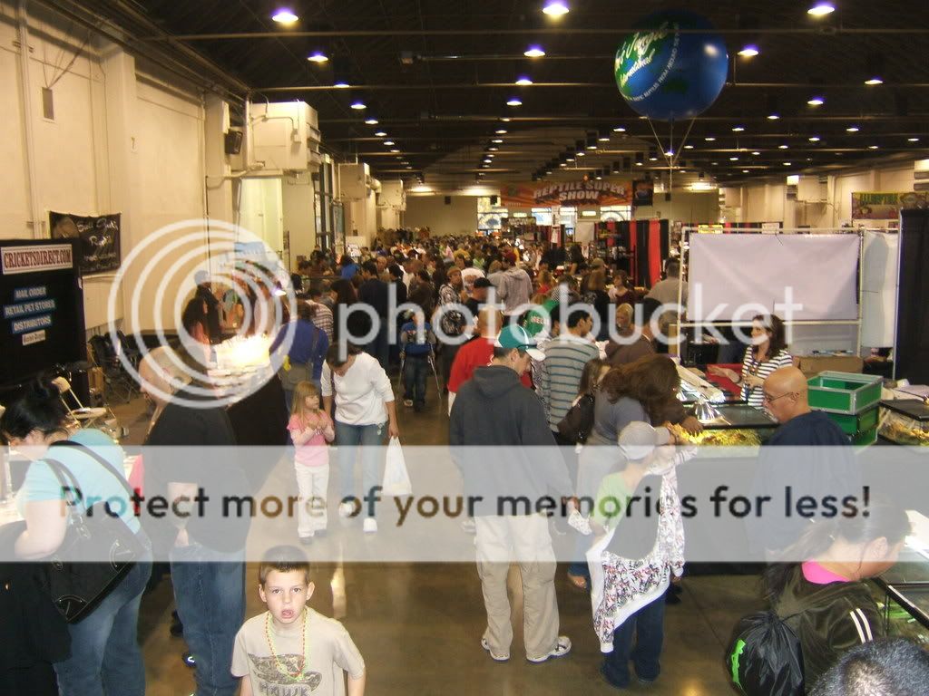 DSCF7701.jpg