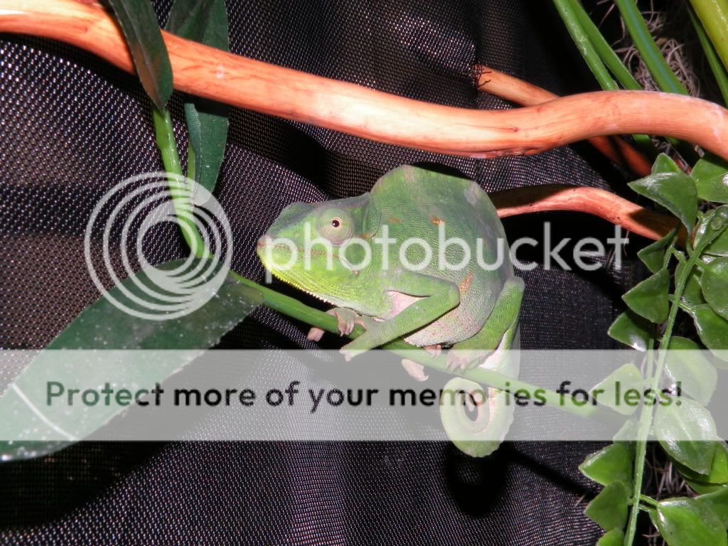 DSCN0522.jpg