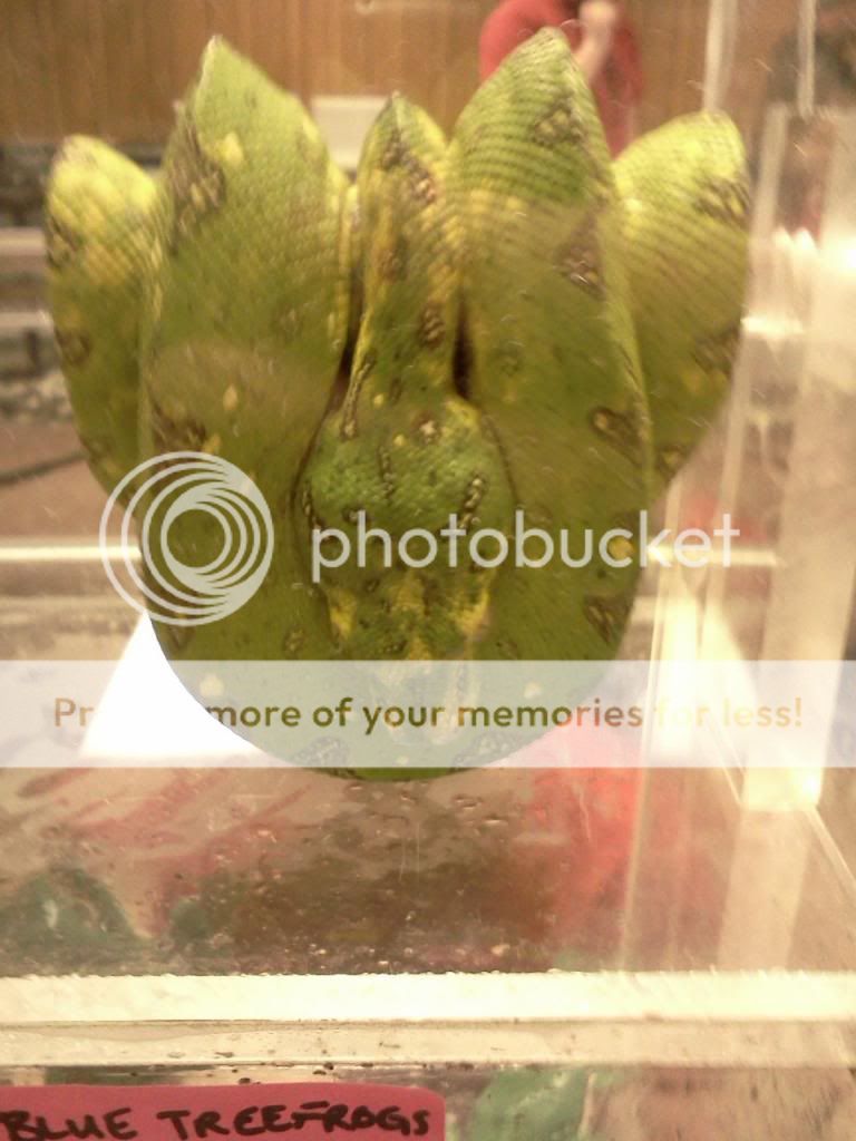 IMG651_zps9ea31cac.jpg