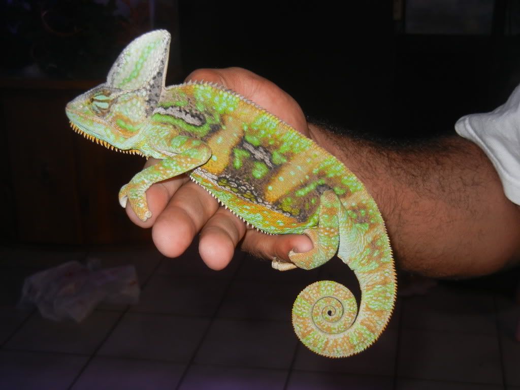 DSCN1532.jpg