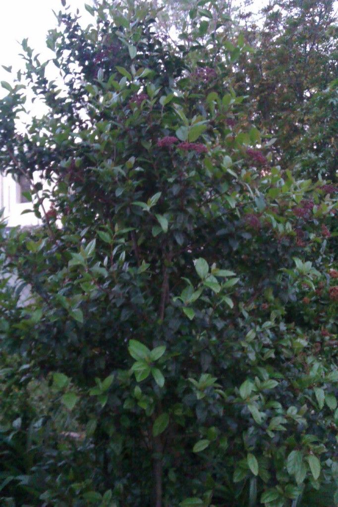 IMAG0636.jpg
