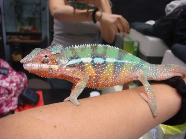 DSC01424.jpg