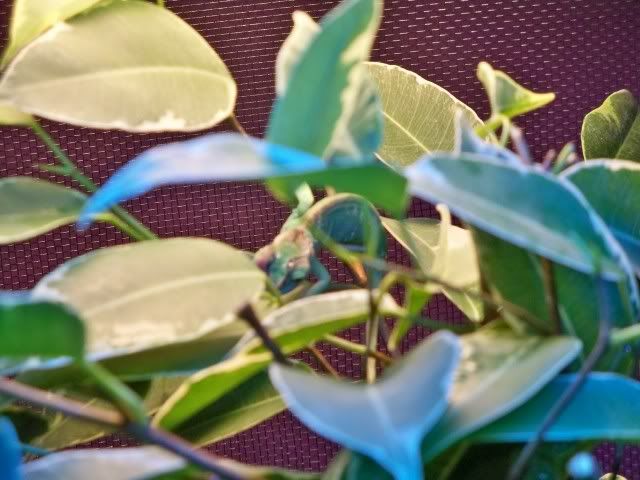 100_0491.jpg