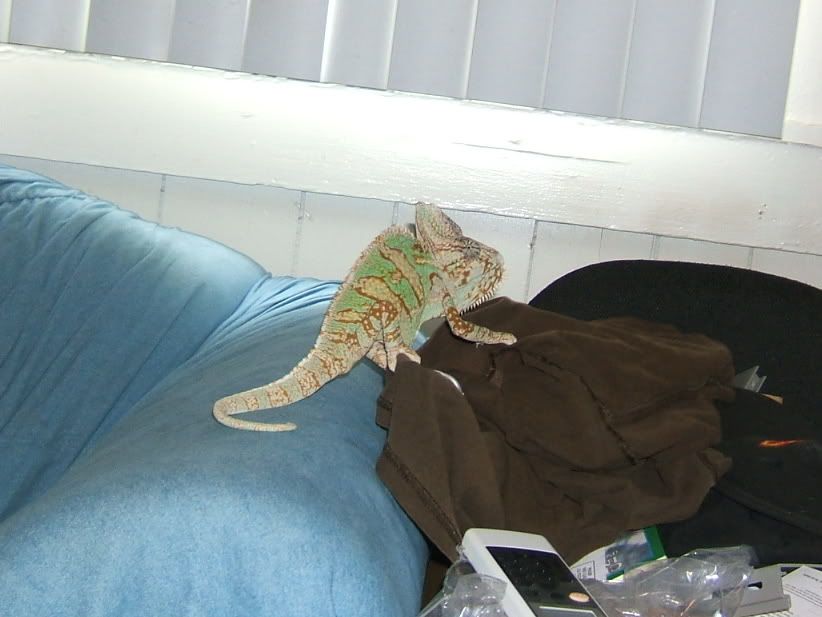 DSCF7553.jpg