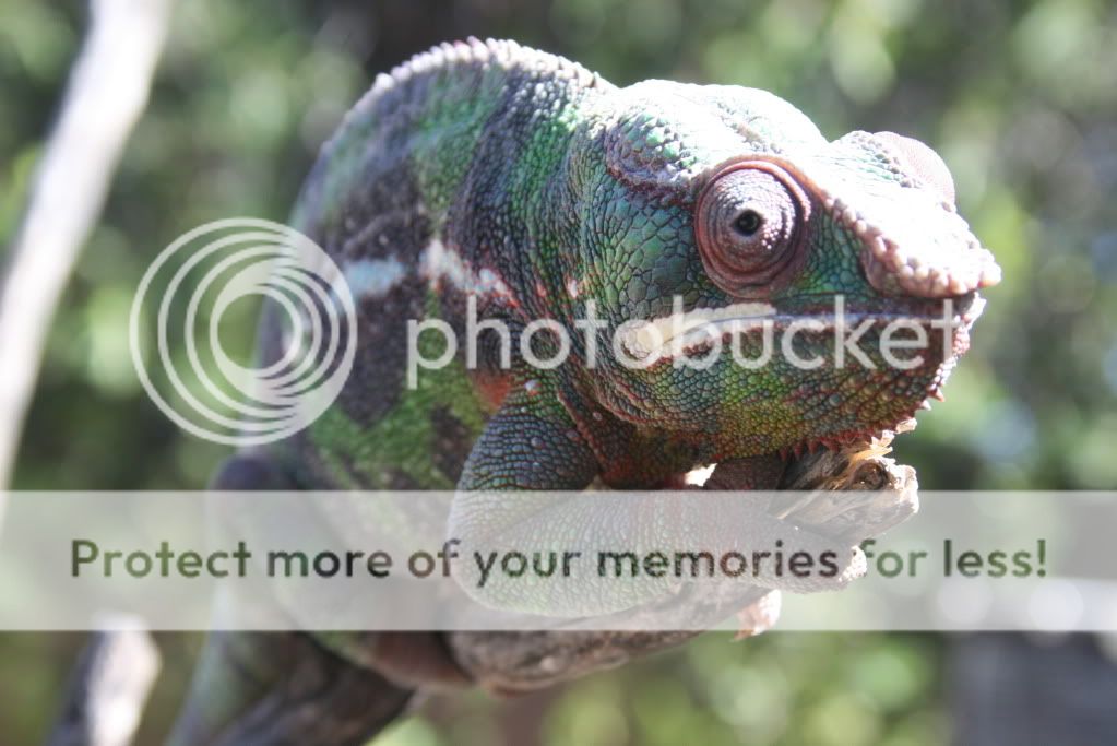 eospics9-19-09007-7.jpg