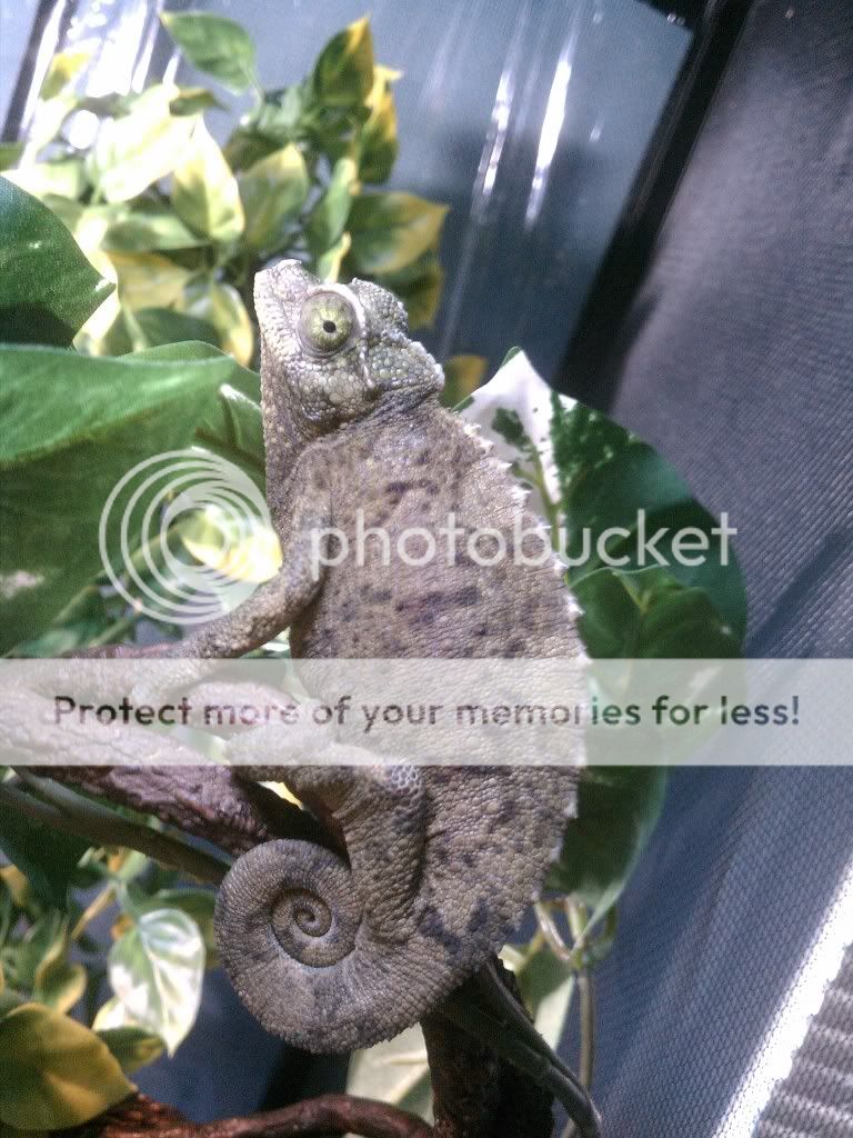 IMG_20120926_113335.jpg