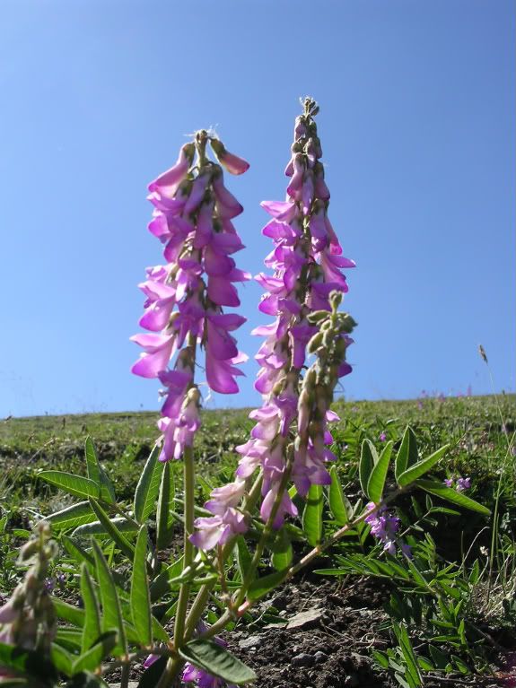 DSCN0417.jpg