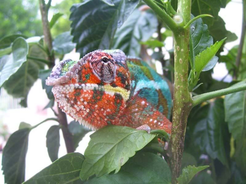 100_8876.jpg