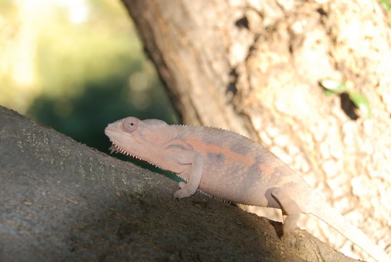 20071018063.jpg