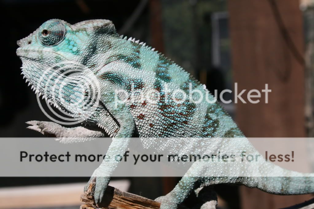 eospics9-19-09019-2.jpg