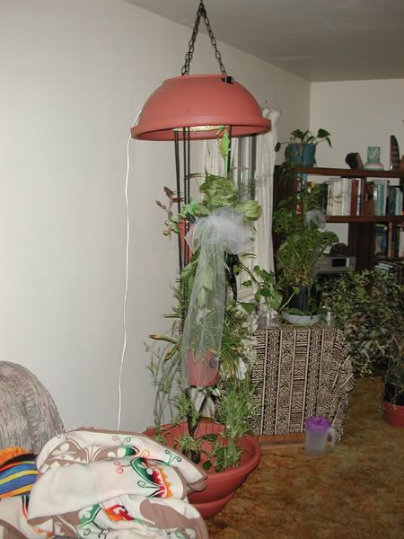 CondoandSaccardo1.jpg