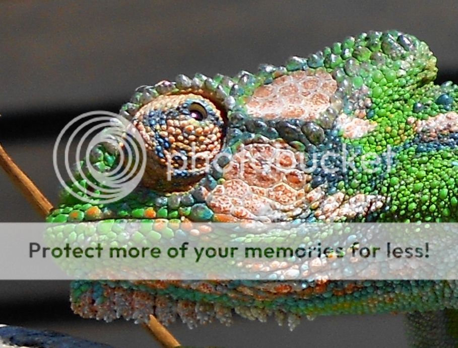 Newcamera26thSep201209900.jpg