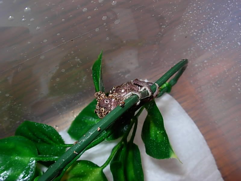 DSCN1820.jpg