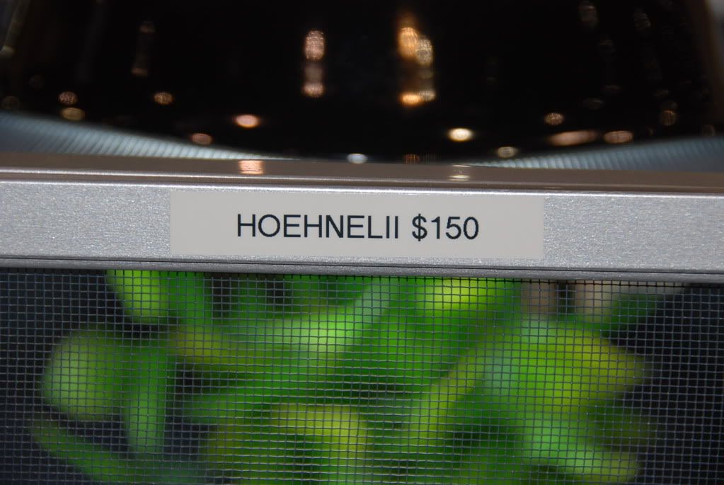 summer20111216.jpg