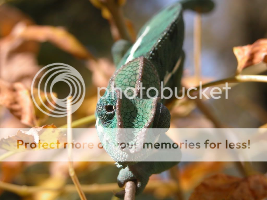 McGOct16_2010_3.jpg