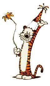 birthdayhobbes.jpg