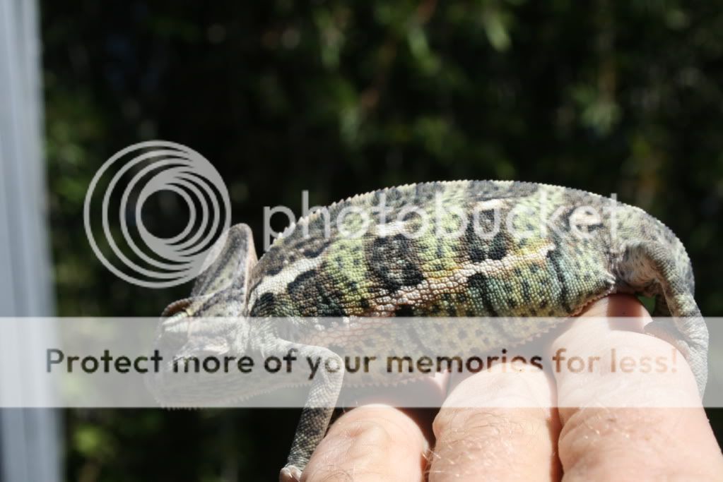eospics9-19-09005-7.jpg