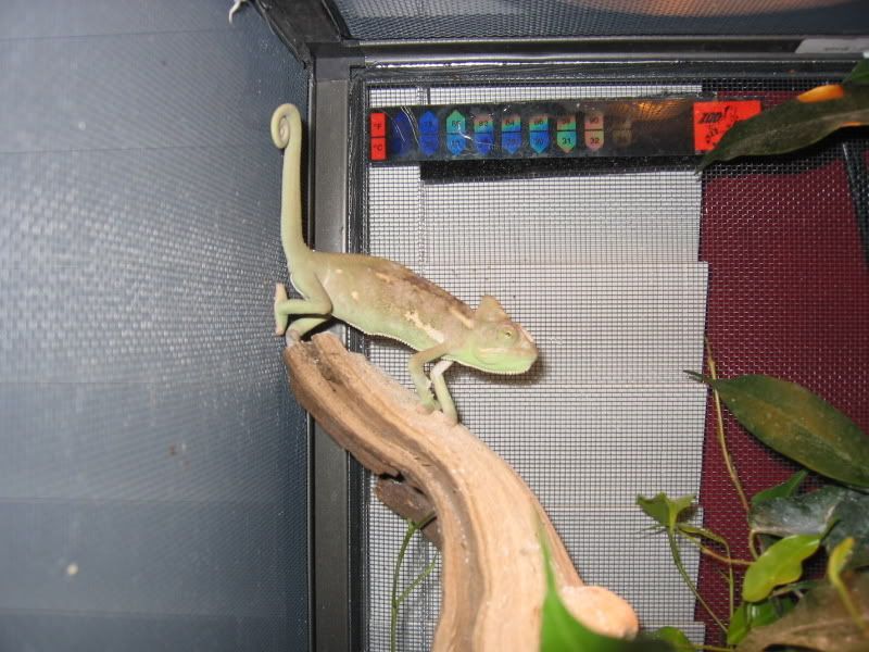 IMG_4163.jpg