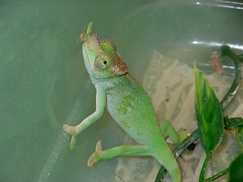 DSCN0880.jpg