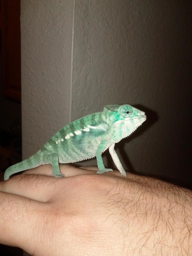 IMG_20121107_164038.jpg
