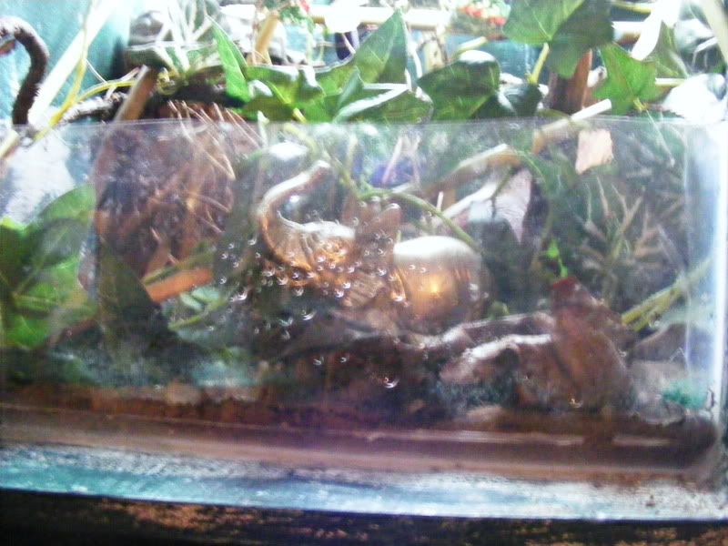 DSCF9209.jpg