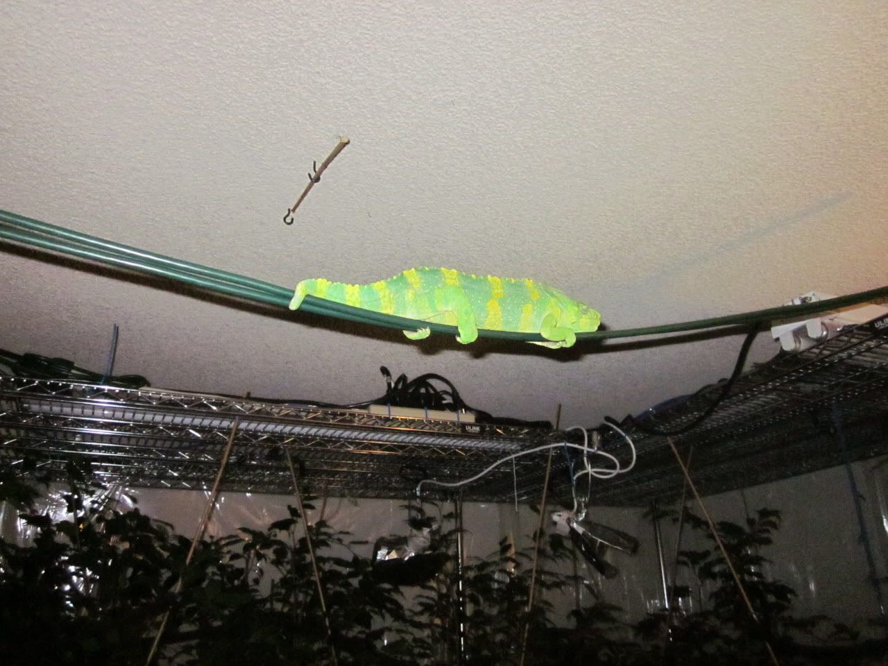 IMG_1075.jpg