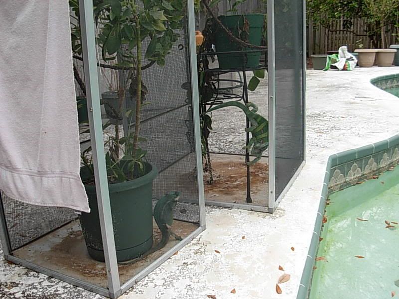 DSCN3736.jpg
