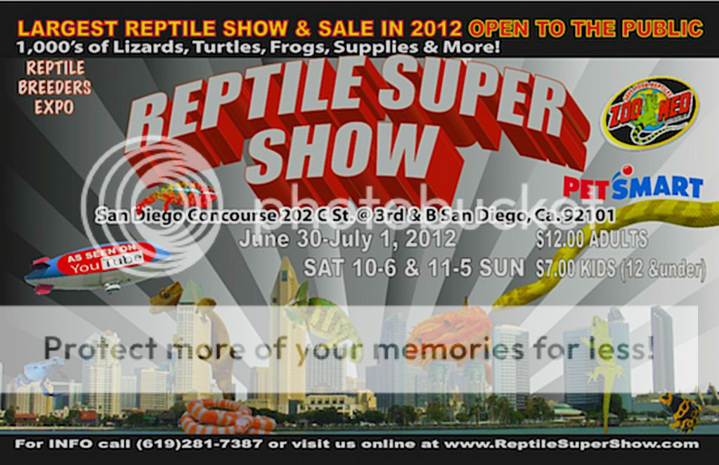 reptile_show_mainimage-2-1.jpg
