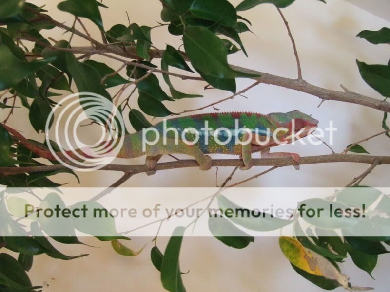 DSCF4634.jpg
