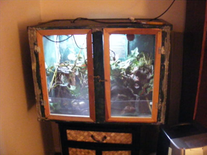 DSCF9204.jpg
