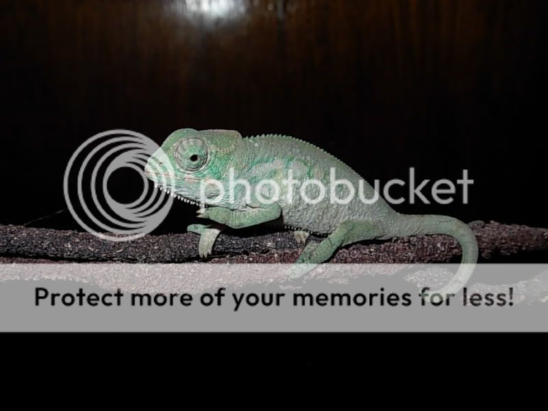DSCN5219.jpg