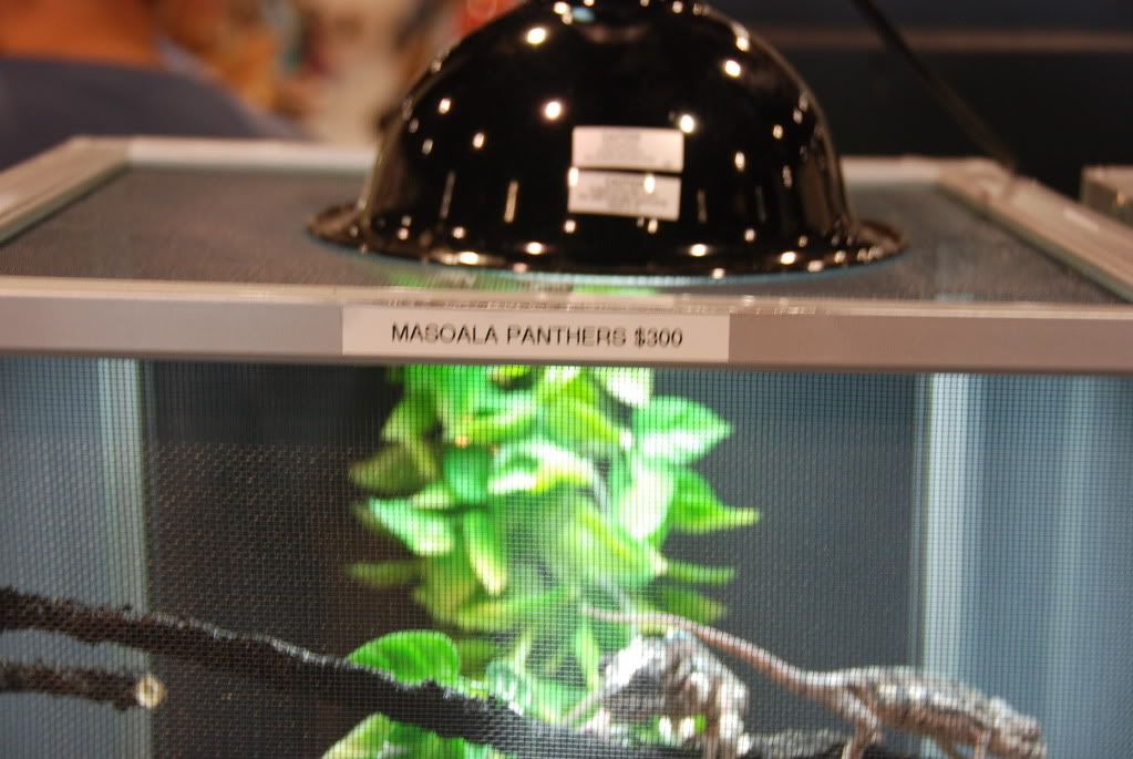 summer20111235.jpg
