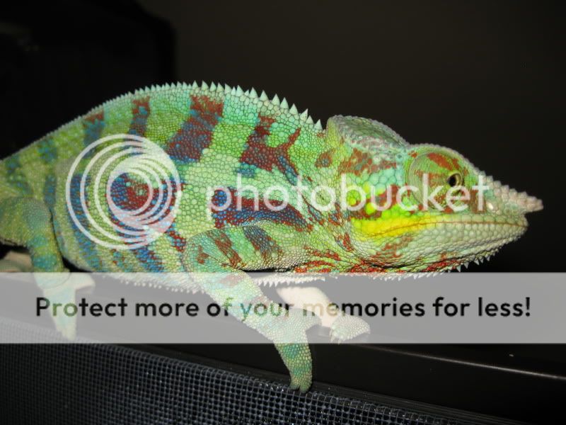 IMG_0565.jpg