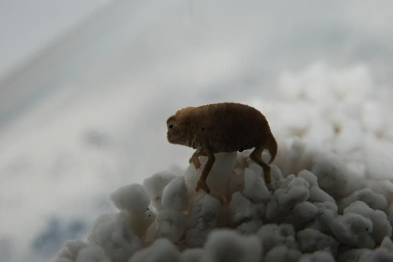 DSC_0925.jpg