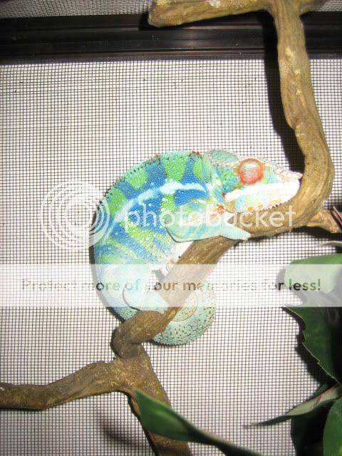 NewPhotos012-1.jpg